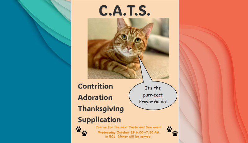 C.A.T.S. Event