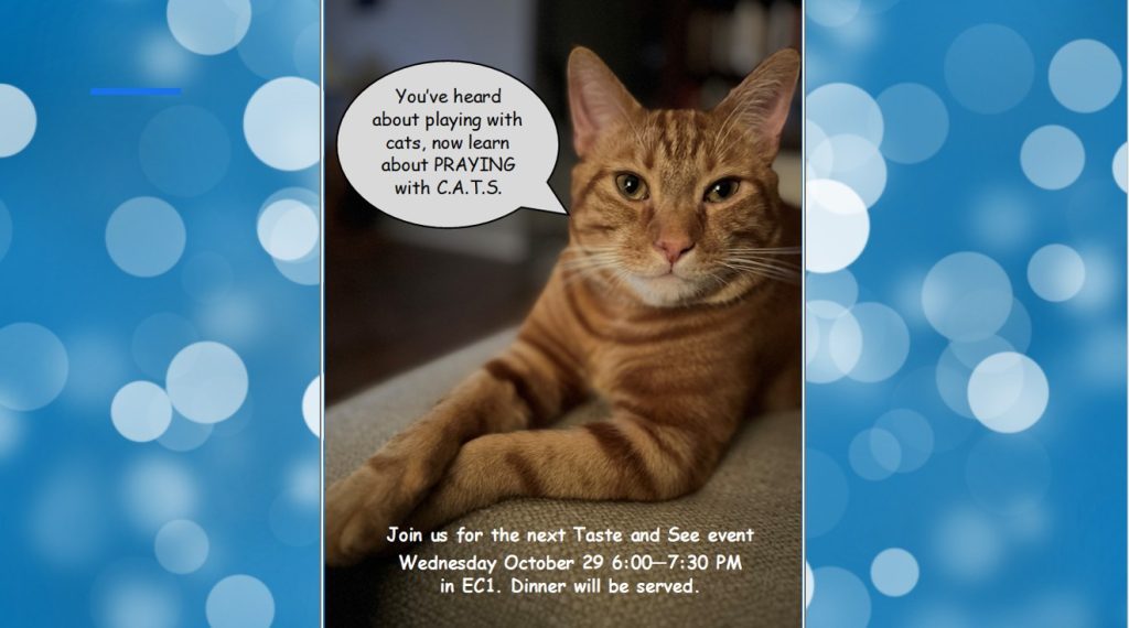 C.A.T.S. Taste and See Event